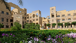 The American University in Cairo School of Business
